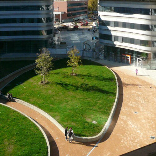 Campus Luigi Einaudi_09